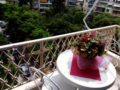 Sylvia' S Apartment *